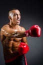 Muscular boxer Royalty Free Stock Photo