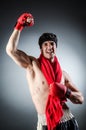 Muscular boxer wiith Royalty Free Stock Photo