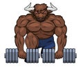 Muscular bull is lifting dumbbells