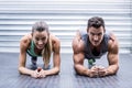 Muscular couple doing planking exercises