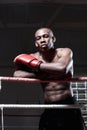 Muscular fighter. Portrait of male African American boxer standing in ring. Royalty Free Stock Photo