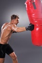 Muscular Fighter Practicing Some Kicks with Punching Bag.