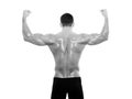 Muscular male back on isolated background Royalty Free Stock Photo