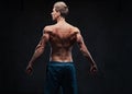 Muscular male. Back view. Royalty Free Stock Photo