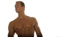 Muscular male body builder Royalty Free Stock Photo