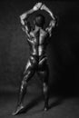 Muscular male Bodybuilder posing in studio Royalty Free Stock Photo