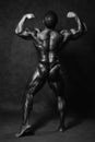 Muscular male Bodybuilder posing in studio Royalty Free Stock Photo