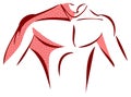 Muscular male chest, anatomical detail, man, isolated. Royalty Free Stock Photo