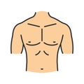 Muscular male chest color icon Royalty Free Stock Photo