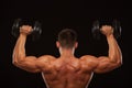 Muscular male model bodybuilder doing exercises with dumbbells, turned back. Isolated on black background with copyspace Royalty Free Stock Photo