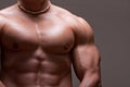 Muscular male torso Royalty Free Stock Photo