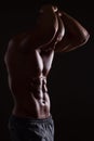 Muscular male torso Royalty Free Stock Photo