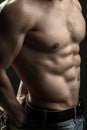 Muscular male torso Royalty Free Stock Photo