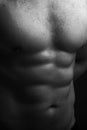 Muscular male wet torso Royalty Free Stock Photo