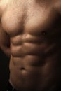 Muscular male wet torso Royalty Free Stock Photo