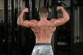 Muscular Man Flexing Muscles Rear Double Biceps Pose Royalty Free Stock Photo