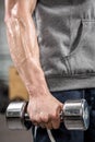 Muscular man with grey jumper holding dumbbell Royalty Free Stock Photo