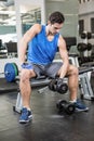 Muscular man lifting dumbbell while sitting on bench Royalty Free Stock Photo