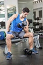 Muscular man lifting dumbbell while sitting on bench Royalty Free Stock Photo