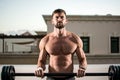 Muscular man with perfect abs, shoulders, biceps, triceps and chest workout with barbell at outdoor gym. Royalty Free Stock Photo