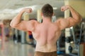 Muscular man's back. Royalty Free Stock Photo
