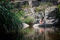 A strong young man sits on a rock in the middle of the water in summer. Summer swimming in the river among rocks. Royalty Free Stock Photo