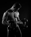Muscular man weightlifting Royalty Free Stock Photo
