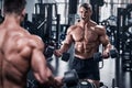 Muscular man working out in gym, bodybuilder. Strong male abs Royalty Free Stock Photo