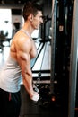 Portrait of muscular man working out at gym, doing arms training with biceps and triceps workout. Professional trainer and certifi