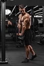 Muscular man working out in gym doing exercise for triceps, strong male bodybuilder Royalty Free Stock Photo