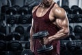 Muscular man working out in gym doing exercises with dumbbells, bodybuilder Royalty Free Stock Photo