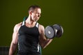 Muscular man working out in gym doing exercises with dumbbells, bodybuilder male naked torso Royalty Free Stock Photo