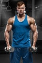 Muscular man working out in gym doing exercises with dumbbells, strong male torso Royalty Free Stock Photo