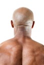 Muscular Mans Back of Head Royalty Free Stock Photo