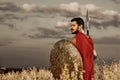 Muscular medieval warrior standing in the field