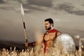 Muscular medieval warrior standing in the field Royalty Free Stock Photo