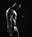 Muscular men bodybuilder is working out, lifting alternately two dumbbells, doing exercises for biceps Royalty Free Stock Photo