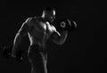 Muscular men weightlifter is working out in gym, lifting alternately two big heavy dumbbells, doing exercises for biceps Royalty Free Stock Photo