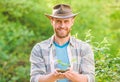 Muscular ranch man in cowboy hat care plants. Eco farm worker. Earth day. happy earth day. Eco living. farming and Royalty Free Stock Photo