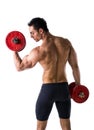 Muscular shirtless young man exercising biceps with dumbbells Royalty Free Stock Photo