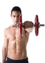 Muscular shirtless young man exercising shoulders Royalty Free Stock Photo