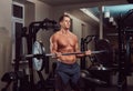 Muscular shirtless bodybuilder male lifting a barbell on a biceps in a gym. Royalty Free Stock Photo