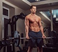 Muscular shirtless bodybuilder male lifting a barbell on a biceps in a gym. Royalty Free Stock Photo