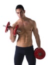 Muscular shirtless young man exercising biceps with dumbbells Royalty Free Stock Photo