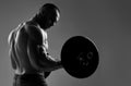 Muscular strong well built men bodybuilder weightlifter does exercises, working out with barbell. Side view Royalty Free Stock Photo