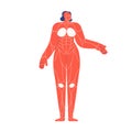 Muscular system of female human body. Muscles scheme, simple structure in woman model silhouette. Internal anatomical Royalty Free Stock Photo