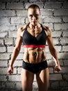 Muscular woman on brick wall (dark version) Royalty Free Stock Photo