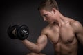Muscular young man doing exercise with dumbbells Royalty Free Stock Photo