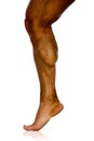 Musculature of male athlete's leg