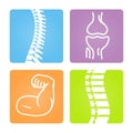 Musculoskeletal Image Icons Royalty Free Stock Photo